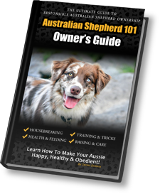 https://gratefulpaw.com/resources/australian-shepherd-training/cover.png