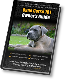 The Complete Guide to the Cane Corso: Selecting, Raising, Training,  Socializing, Living with, and Loving Your New Cane Corso Dog: Richie,  Vanessa: 9781952069000: : Books