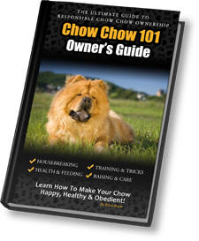 Chow chow hotsell dogs 101