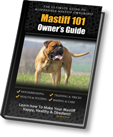 Mastiff 101 hot sale