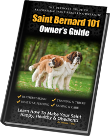 St bernard sale 101